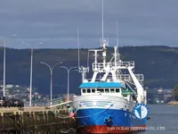 Troolari myynnissä