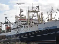 Troolari myynnissä
