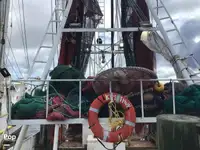 Troolari myynnissä