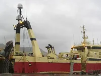 Troolari myynnissä