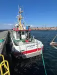 Partiovene myynnissä