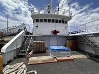 Troolari myynnissä