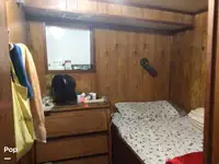Troolari myynnissä