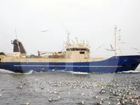 Troolari myynnissä