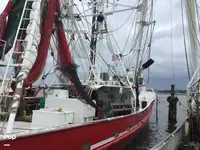 Troolari myynnissä
