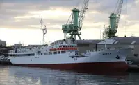Troolari myynnissä