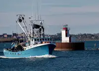 Purse seiner Myytävänä