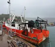 Troolari myynnissä