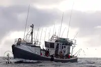 Troolari myynnissä