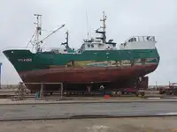 Troolari myynnissä