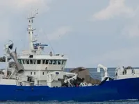 Troolari myynnissä
