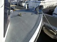 Troolari myynnissä