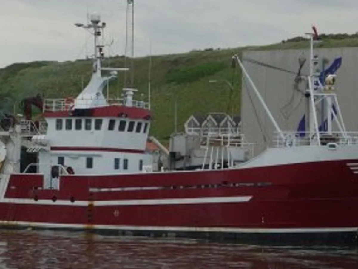 Troolari myynnissä