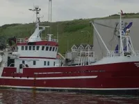 Troolari myynnissä