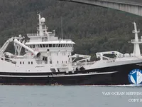 Troolari myynnissä