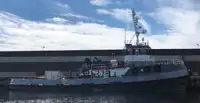 Hinausvene Myytävänä