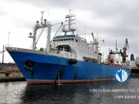 Troolari myynnissä