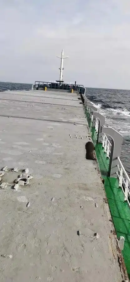 General Cargo/Multi-purpose myynnissä