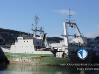 Troolari myynnissä