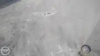 Konttilaiva myynnissä