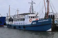 Proomu Myytävänä