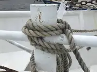 Troolari myynnissä