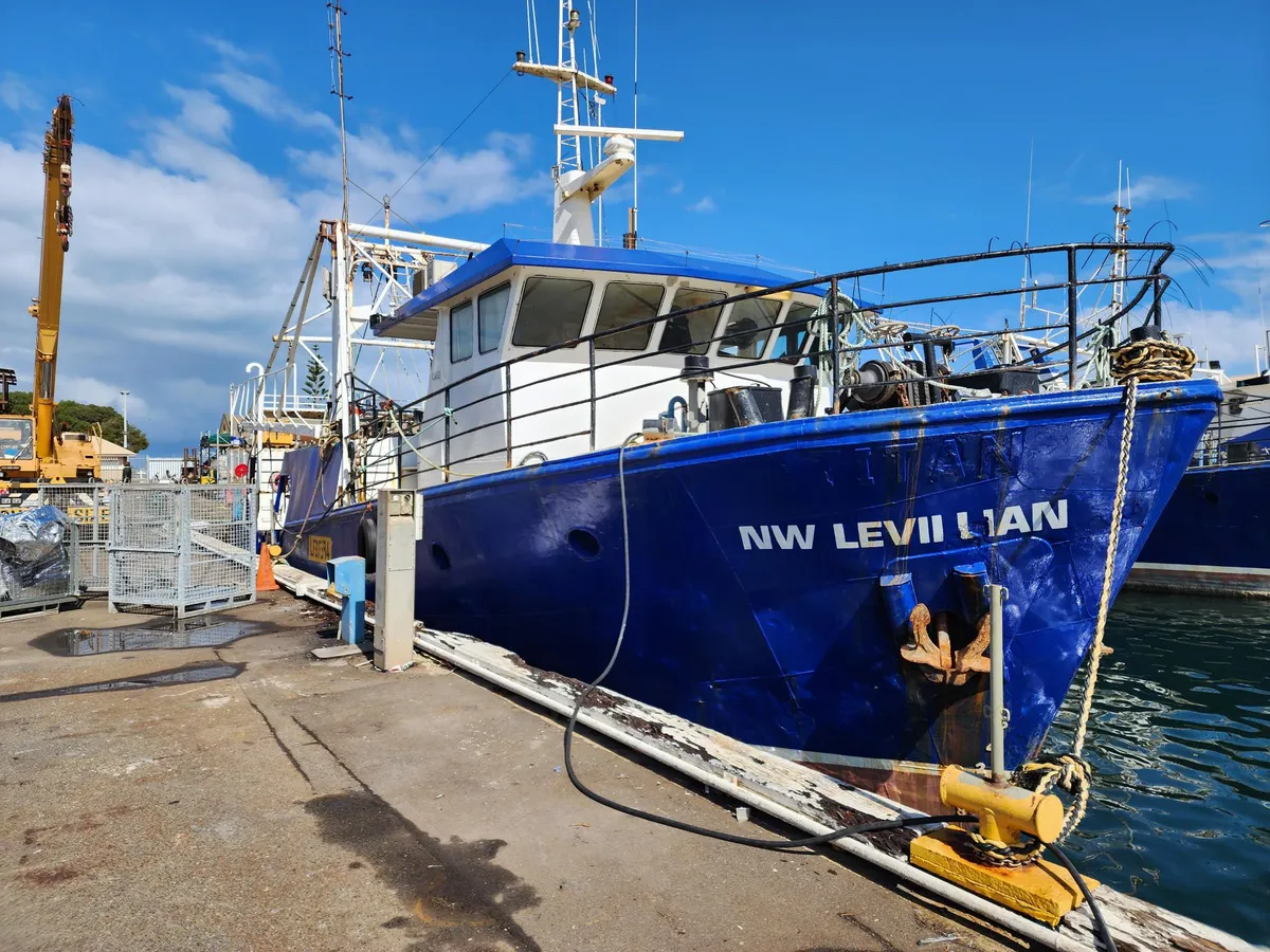 Troolari myynnissä