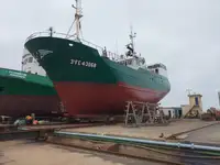 Troolari myynnissä