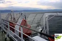 Ro-Ro-alus myynnissä