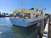 Troolari myynnissä