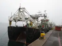 Troolari myynnissä