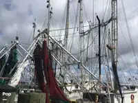 Troolari myynnissä