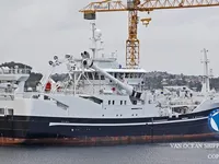 Troolari myynnissä