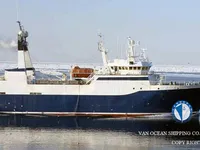 Troolari myynnissä