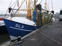Troolari myynnissä