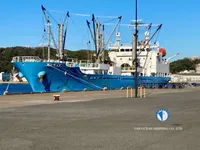 Jääkaivaaluksen tyyppinen alus myynnissä