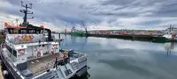 Katamaani myynnissä