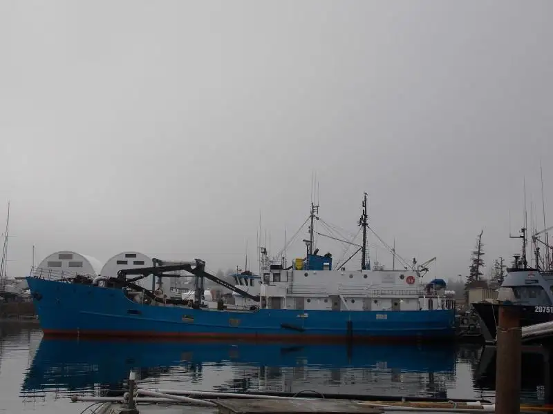 Kuivalastialus myynnissä