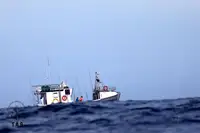 Troolari myynnissä