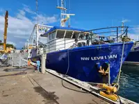 Troolari myynnissä