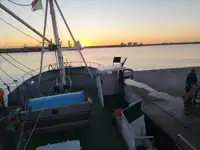 Troolari myynnissä