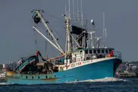 Purse seiner Myytävänä