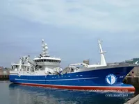 Troolari myynnissä