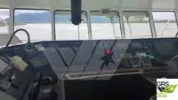 Ro-Ro ship Myytävänä