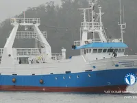 Troolari myynnissä