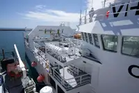 Troolari myynnissä