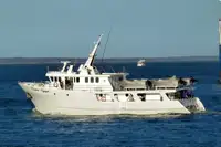 Troolari myynnissä