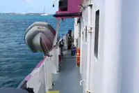 General Cargo/Multi-purpose myynnissä