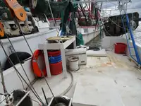 Troolari myynnissä