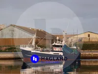 Troolari myynnissä